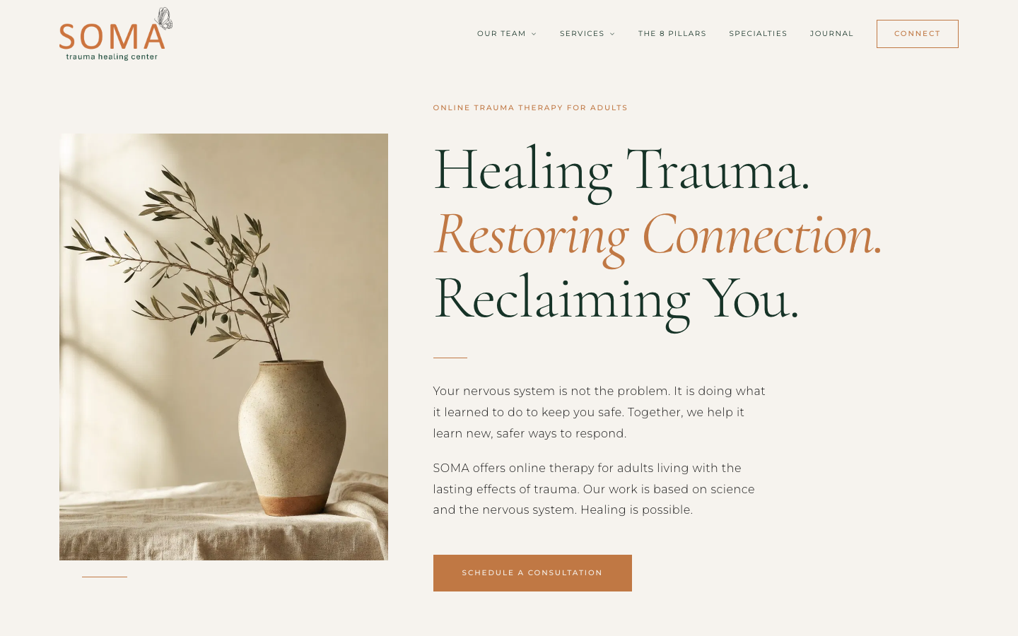 SOMA Trauma Healing Center hero screenshot